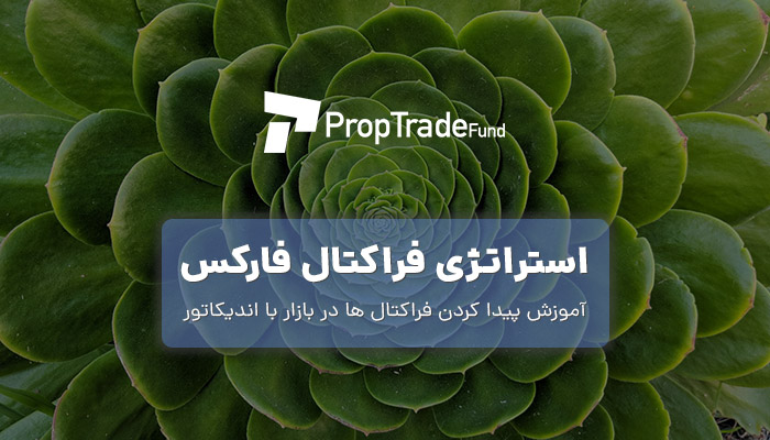 آموزش استراتژی فراکتال در فارکس