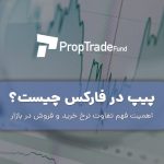 پیپ در فارکس و نحوه محاسبه pip آن