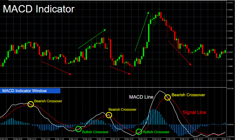 MACD در فارکس