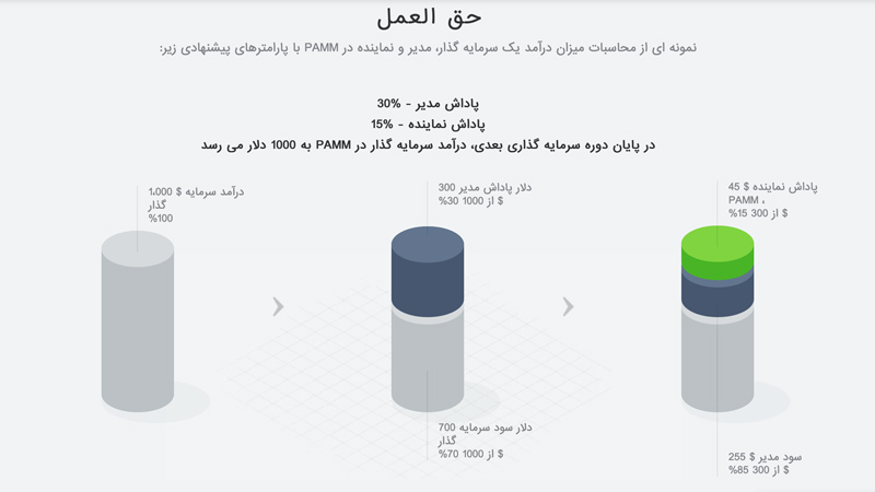 سرویس PAMM در بروکر fibogroup