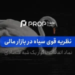 نظریه قوی سیاه در بازارهای مالی