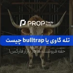 تله گاوی یا bulltrap چیست در بازار فارکس