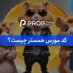 کد مورس همستر چیست؟ آموزش وارد کردن کد